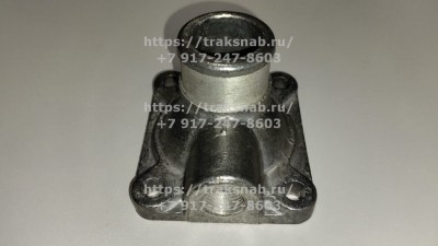 Крышка термостата Д-245